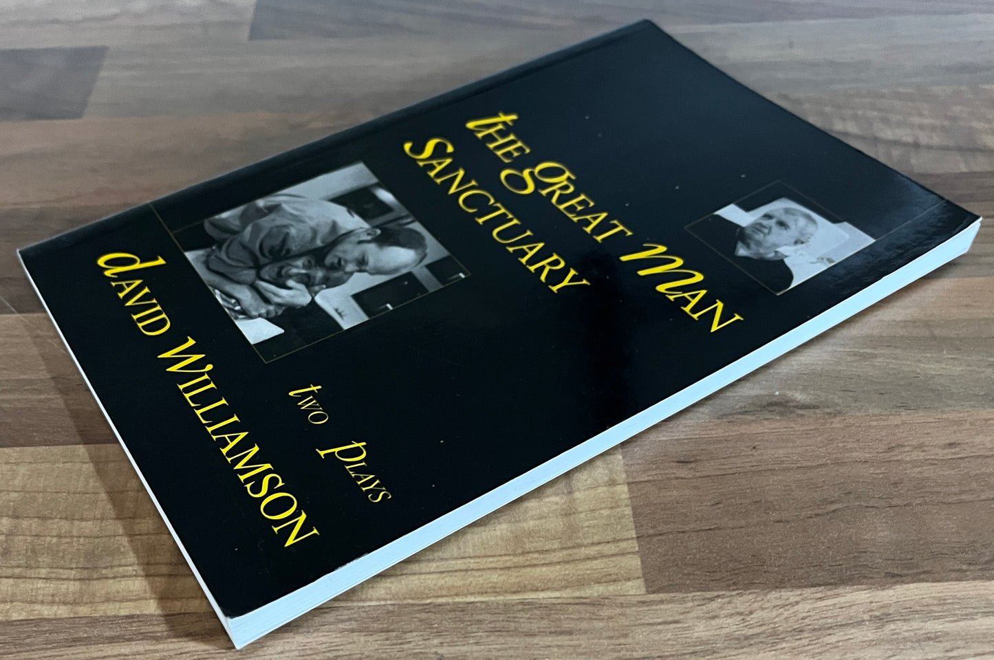 Two Plays: The Great Man; Sanctuary by David Williamson (Currency Press)