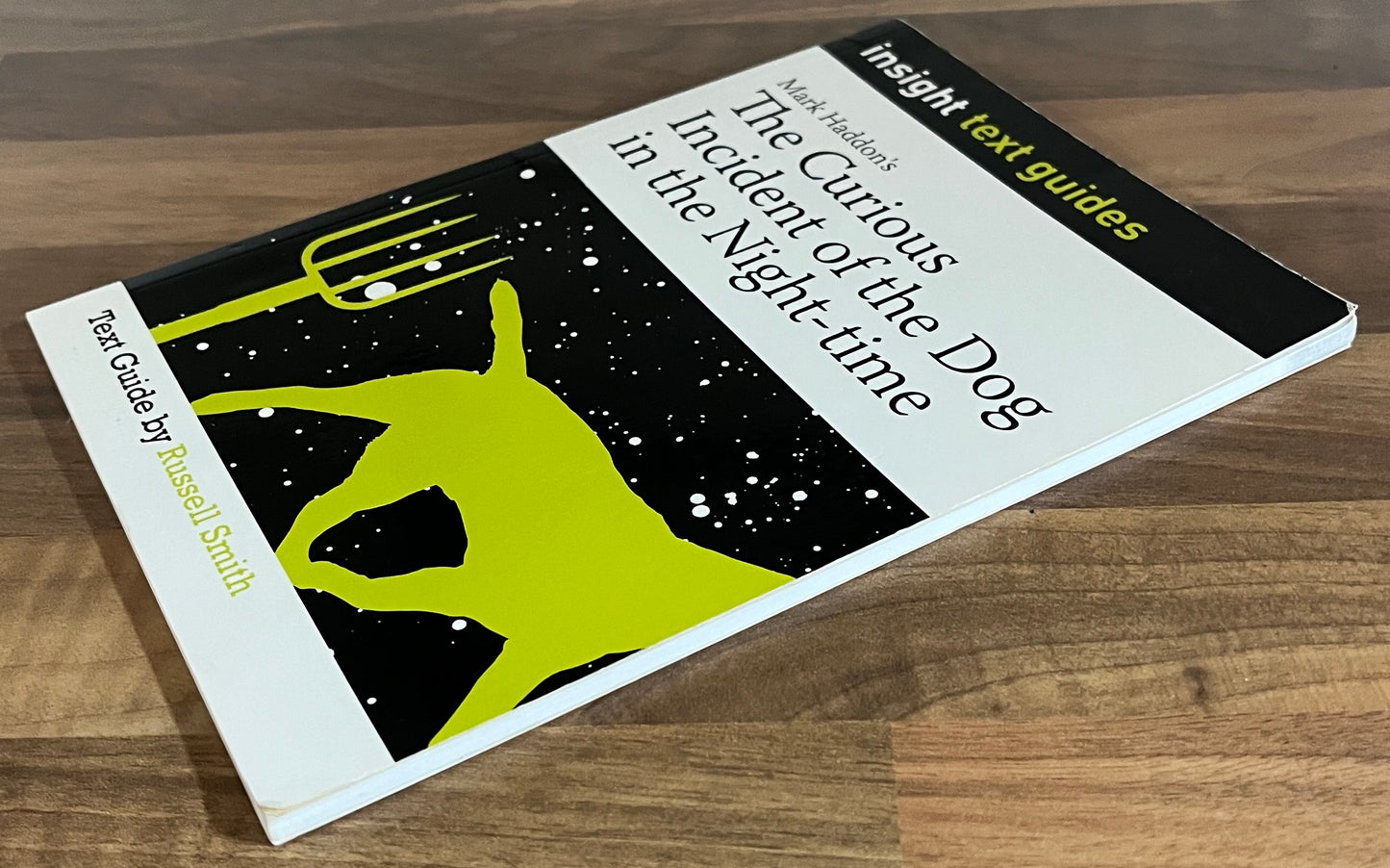 Insight Text Guides: Mark Haddon’s The Curious Incident of the Dog in the Night-Time