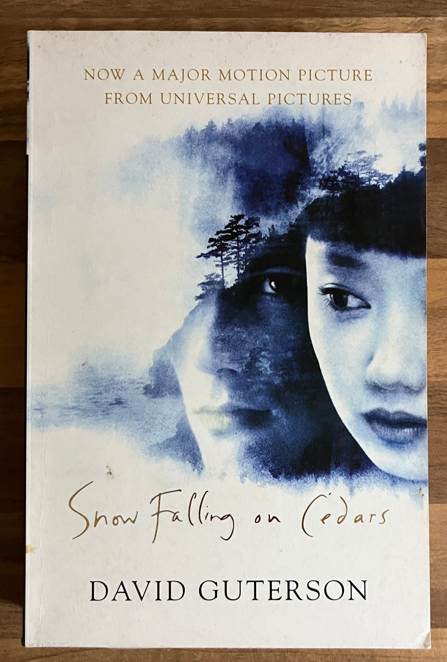 Snow Falling on Cedars by David Guterson