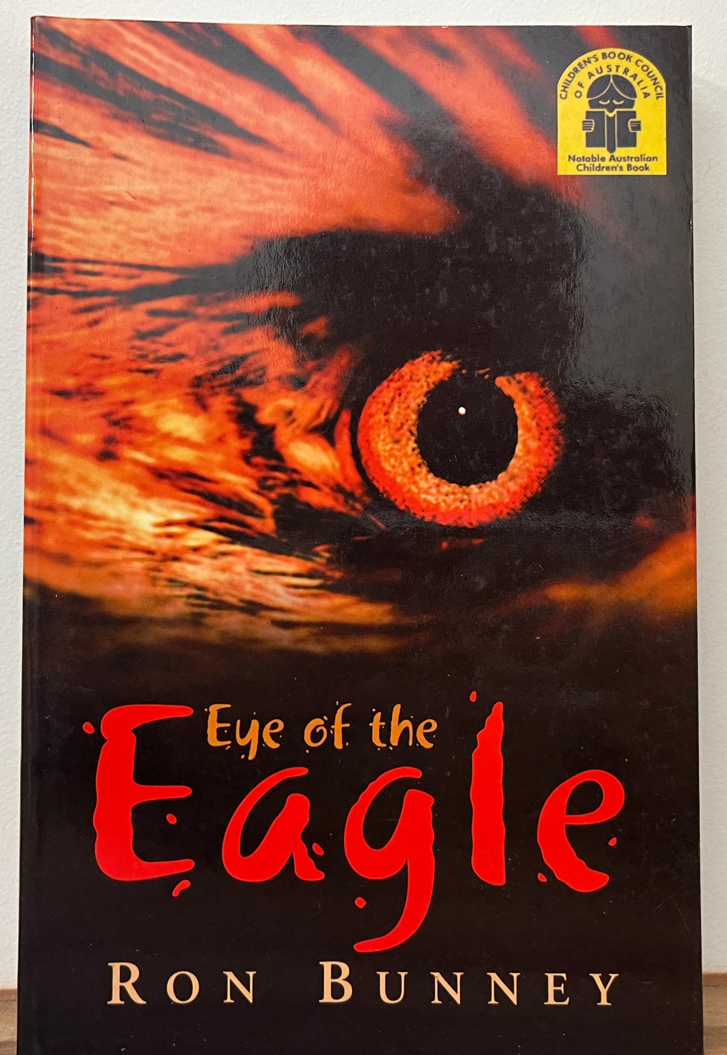 Eye of the Eagle by Ron Bunney