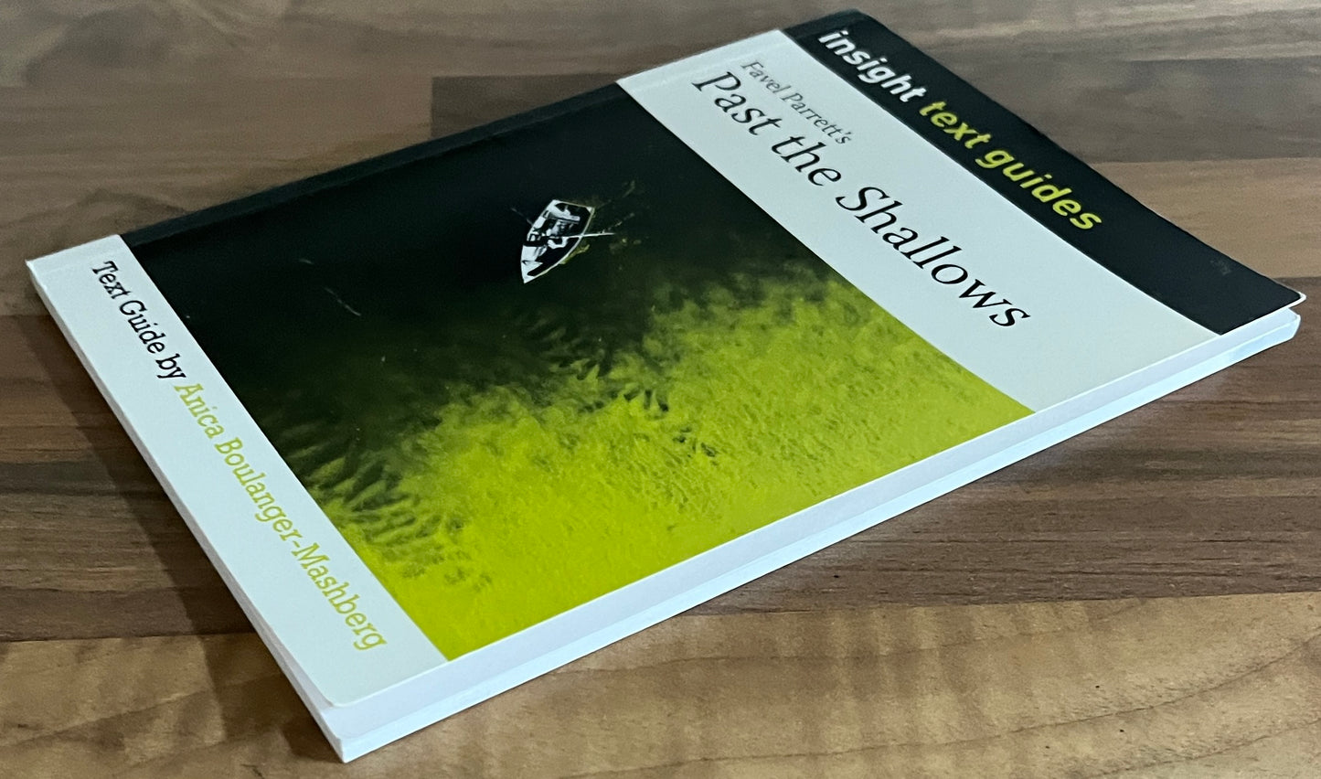 Insight Text Guides: Craig Silvey's Jasper Jones