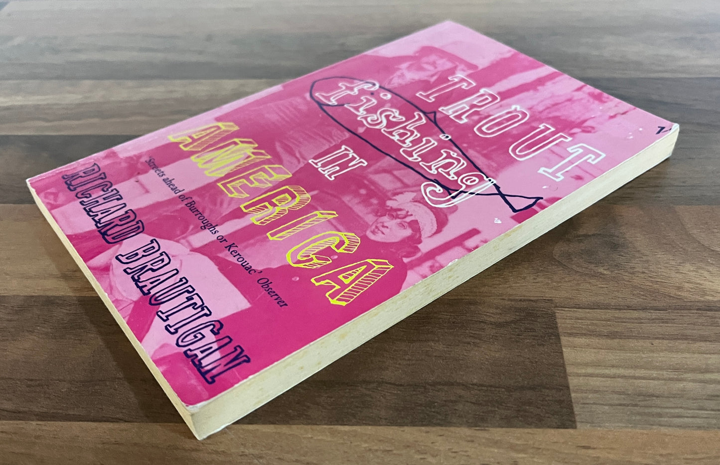 Trout Fishing in America by Richard Brautigan (Vintage Books)