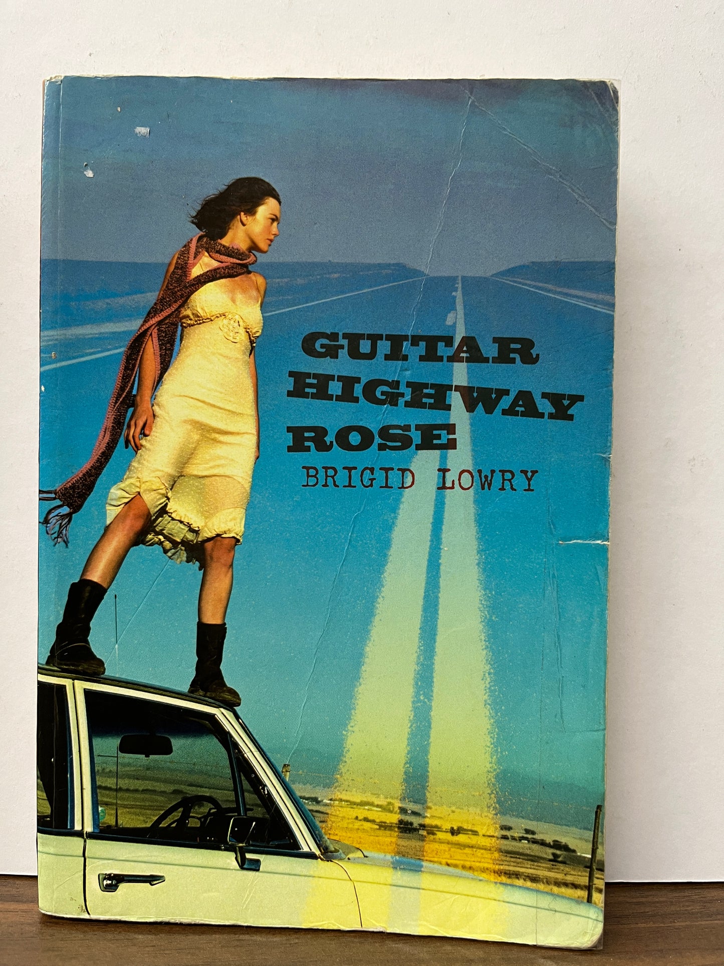Guitar Highway Rose by Brigid Lowry