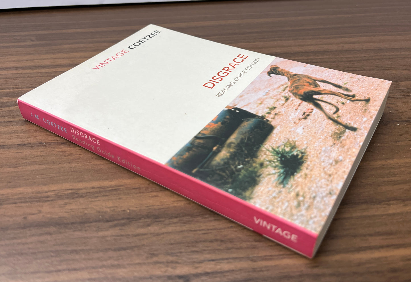 Disgrace: Reading Guide Edition by J. M. Coetzee