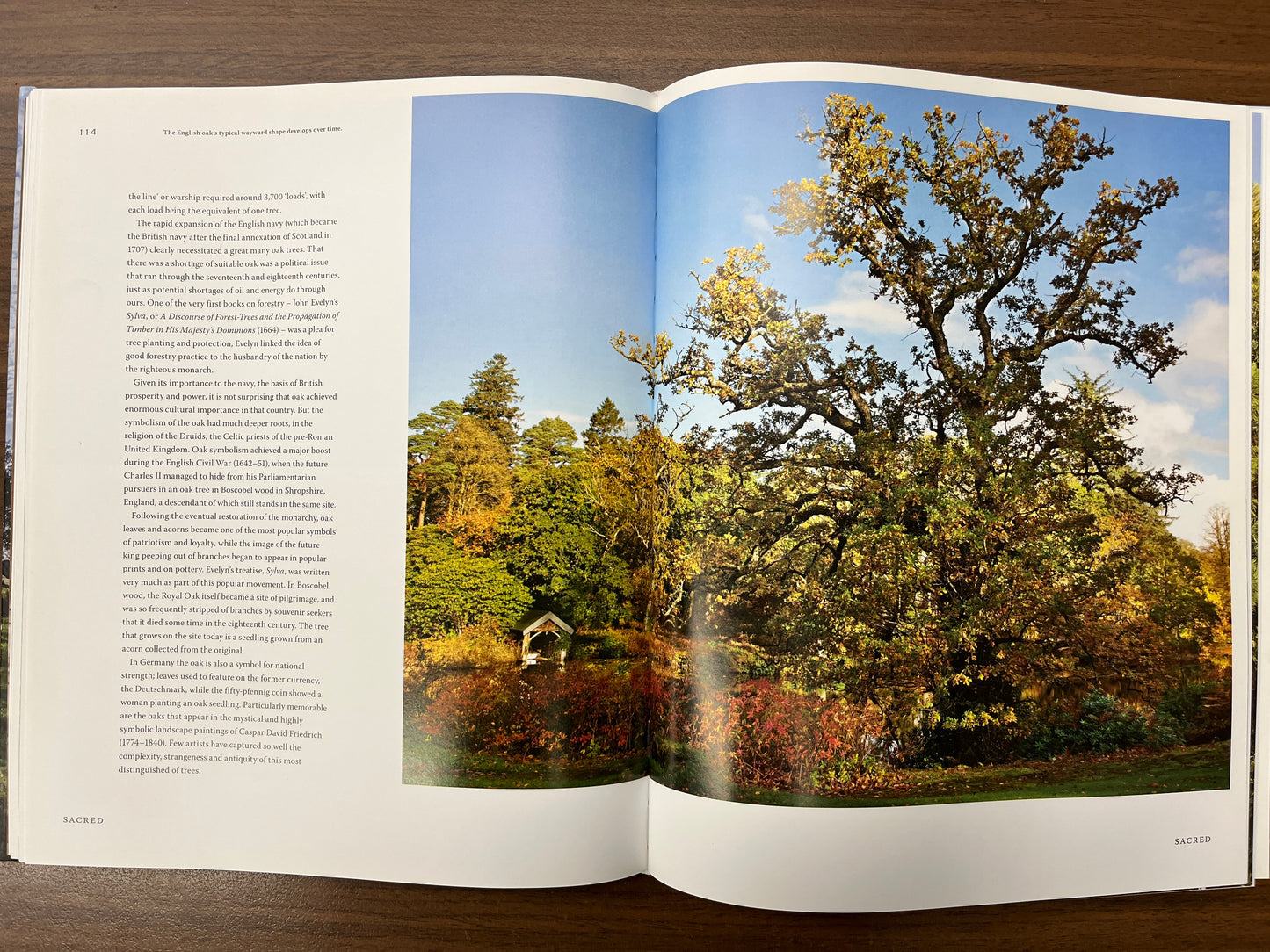 Glory of the Tree: An Illustrated History by Noel Kingsbury & Andrea Jones HC/DJ