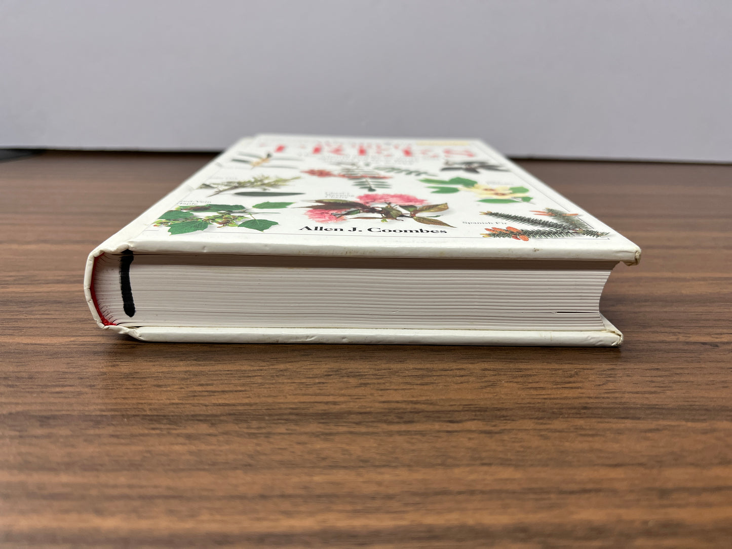 Collins Eyewitness Handbook: World Trees by Allen J. Coombes (Hardback 1992)