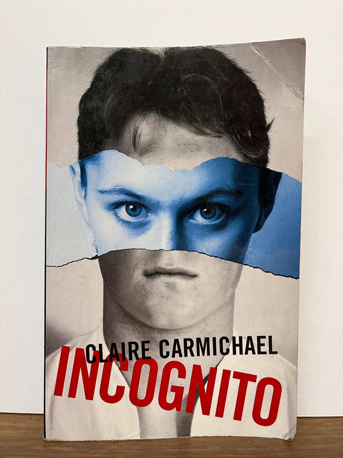 Incognito by Claire Carmichael