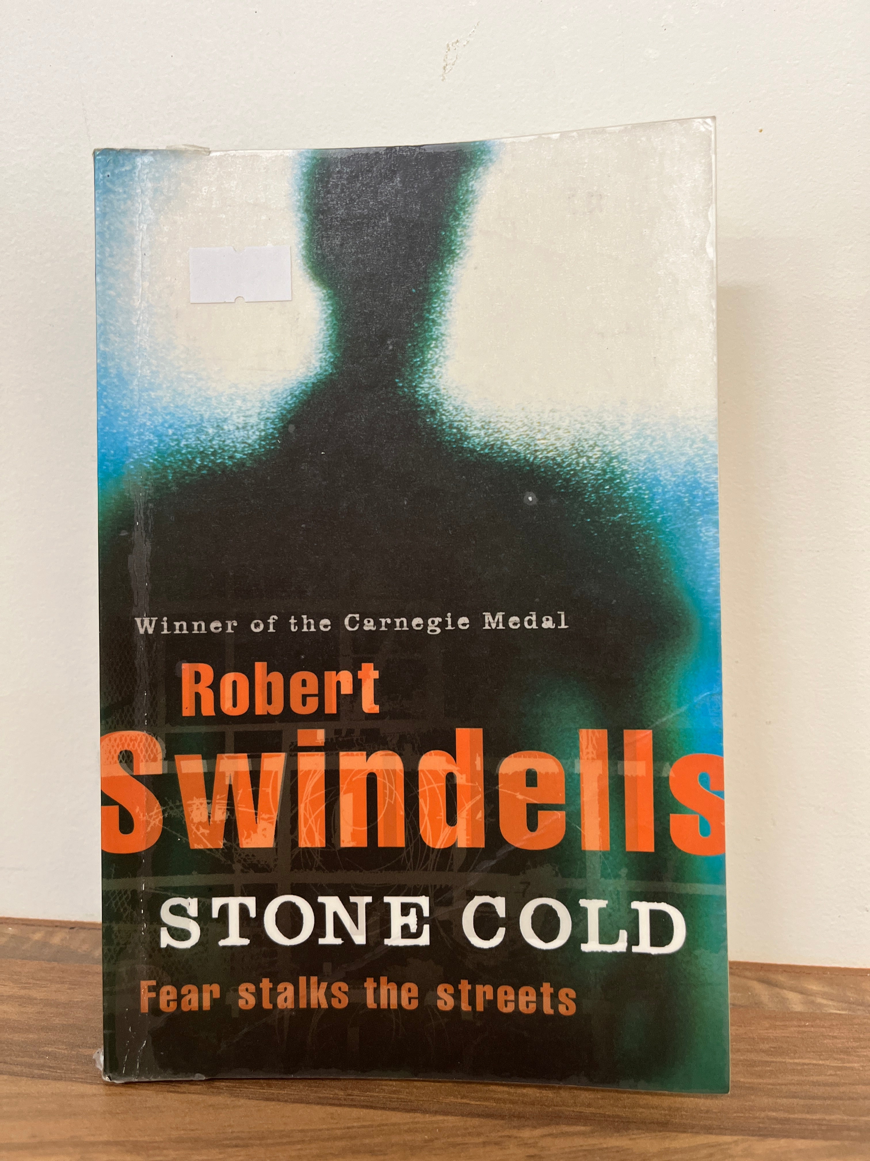 Stone Cold By Robert Swindells T s Textbooks