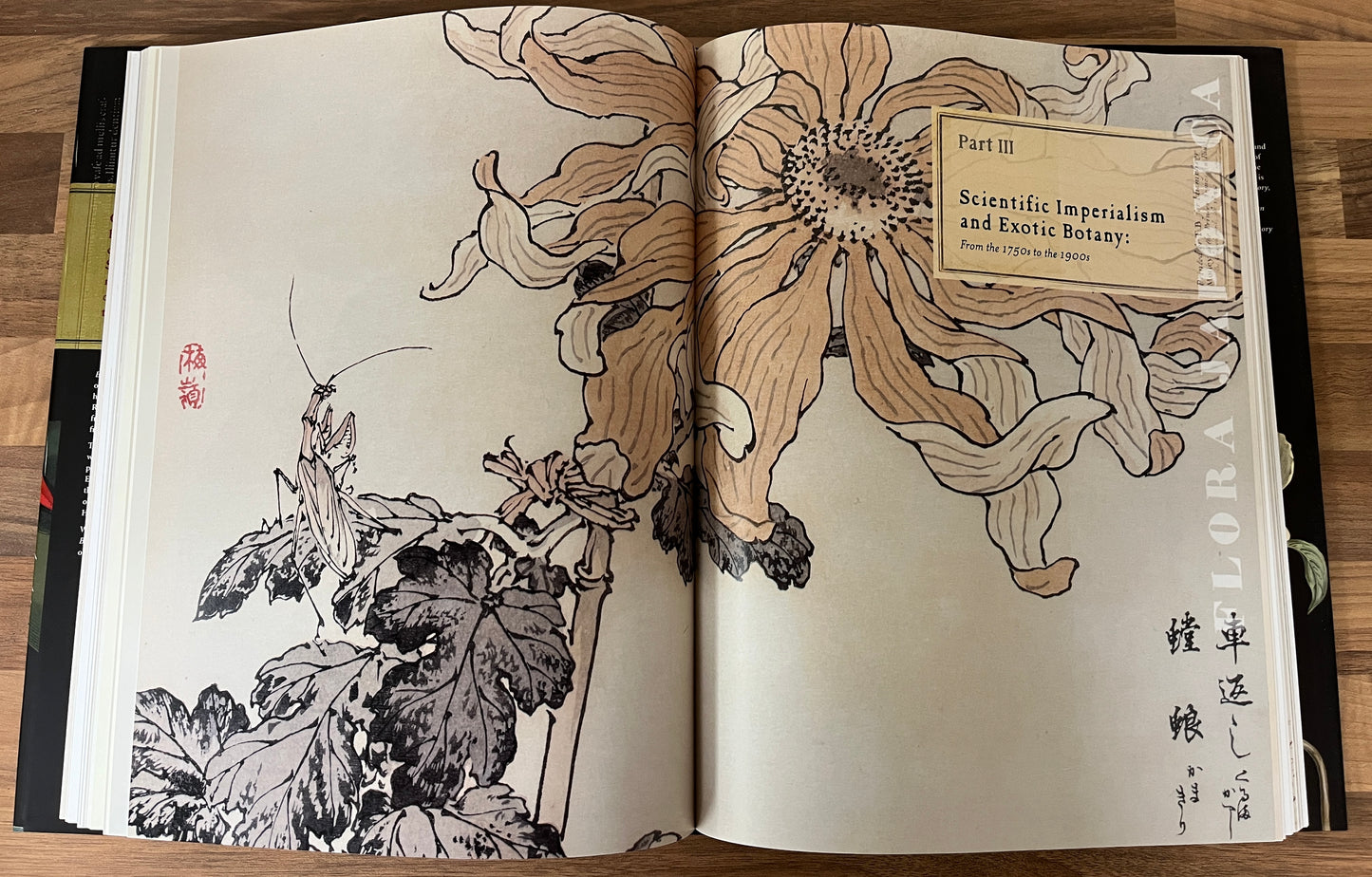 Botanical Riches: Stories Of Botanical Exploration by Richard Aitken HC/DJ