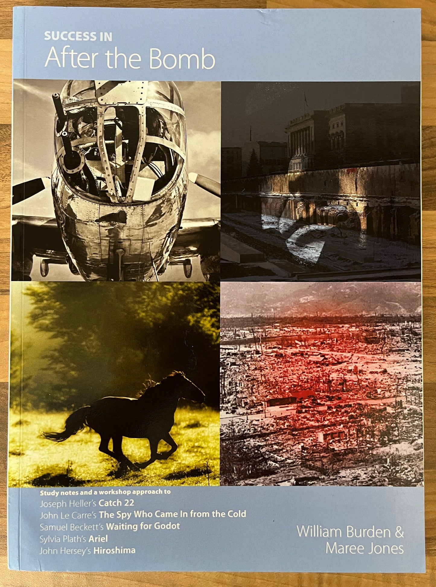 Success in After the Bomb: Study Notes for Sylvia Plath's Ariel, Waiting for Godot