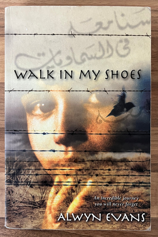 Walk in My Shoes by Alwyn Evans