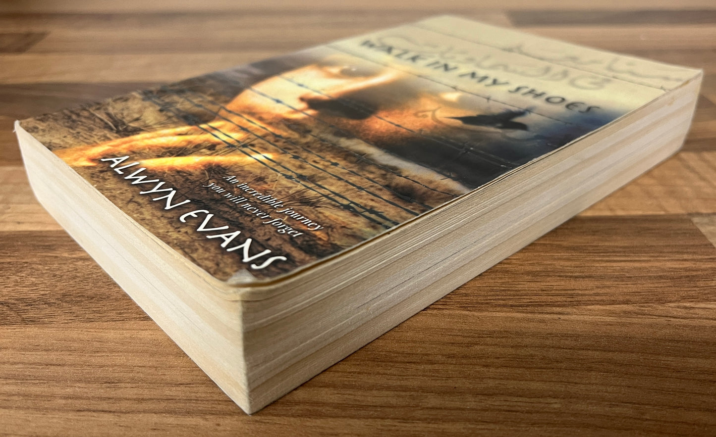 Walk in My Shoes by Alwyn Evans