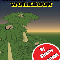 Creative Economics HSC Workbook by Ian Moore & Daniel MacPherson (2012)
