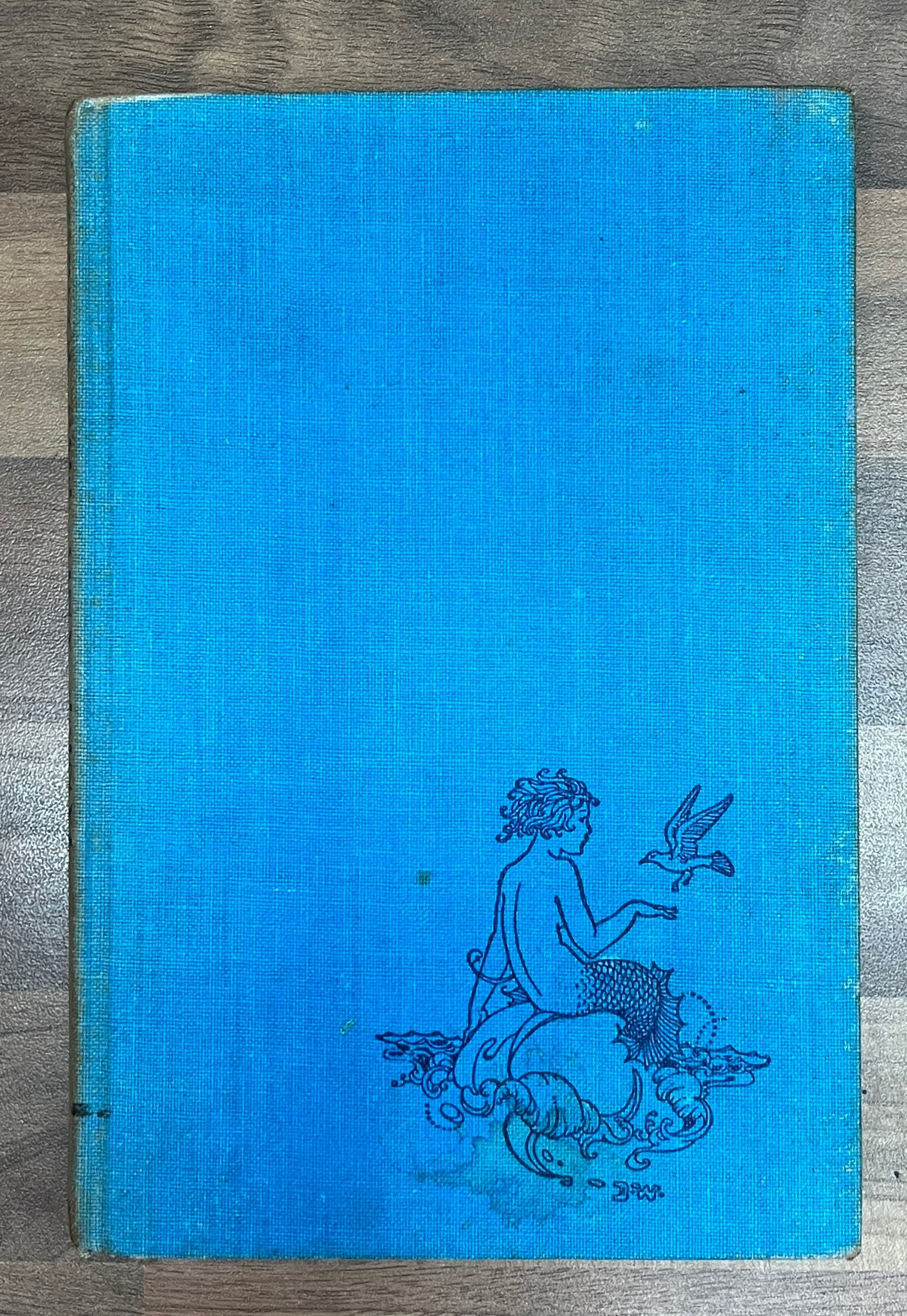 Janet and the Fairies by Bertha M. Danks, Illus. Ida Rentould Outhwaite HC, 1937 *SCARCE*