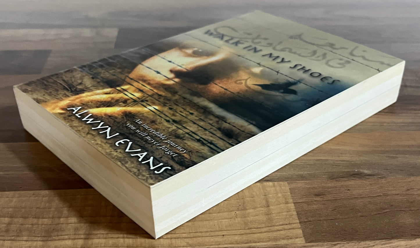 Walk in My Shoes by Alwyn Evans