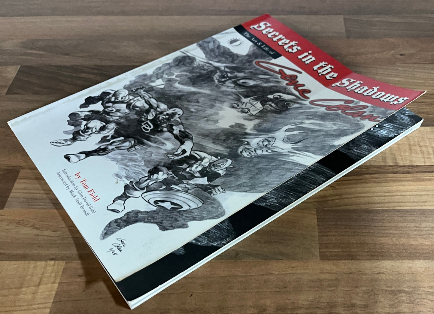 Secrets in the Shadows: The Life and Art of Gene Colan by Tom Field