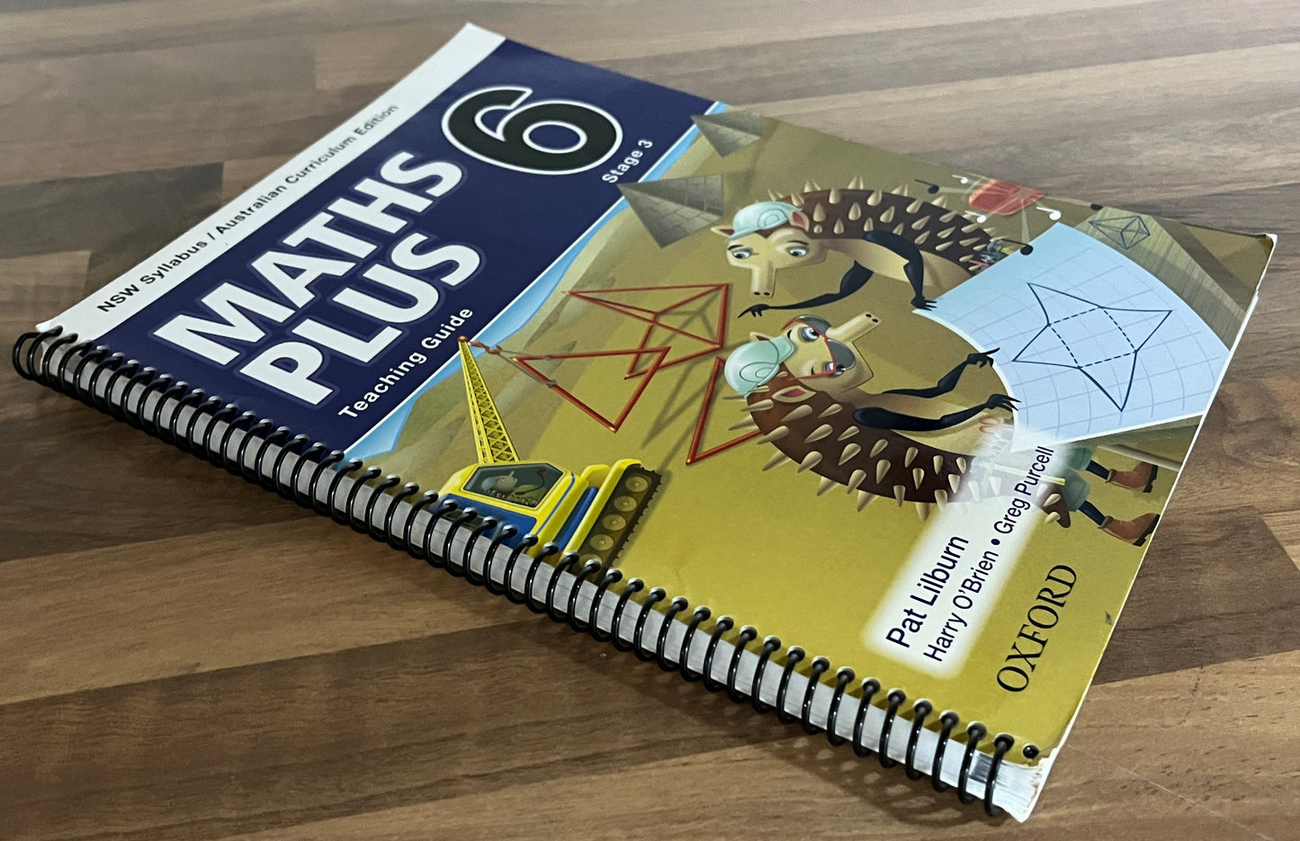 Maths Plus 6 Teaching Guide: NSW Syllabus Stage 3 Australian Curriculum Edition, 2013