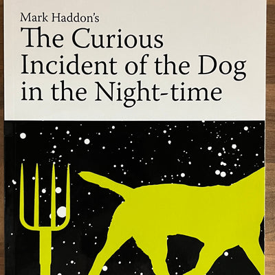 Insight Text Guides: Mark Haddon’s The Curious Incident of the Dog in the Night-Time