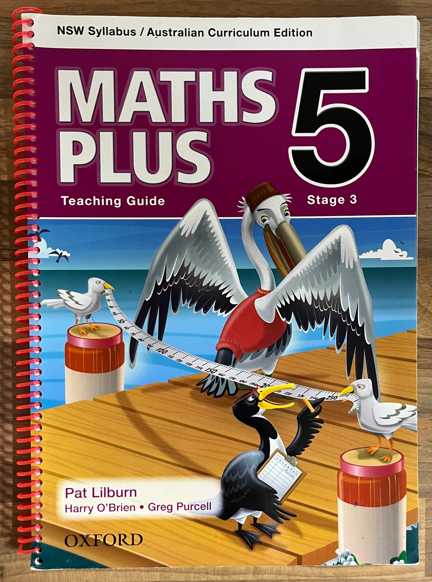 Maths Plus 5 Teaching Guide: NSW Syllabus Stage 3 Australian Curriculum Edition, 2013
