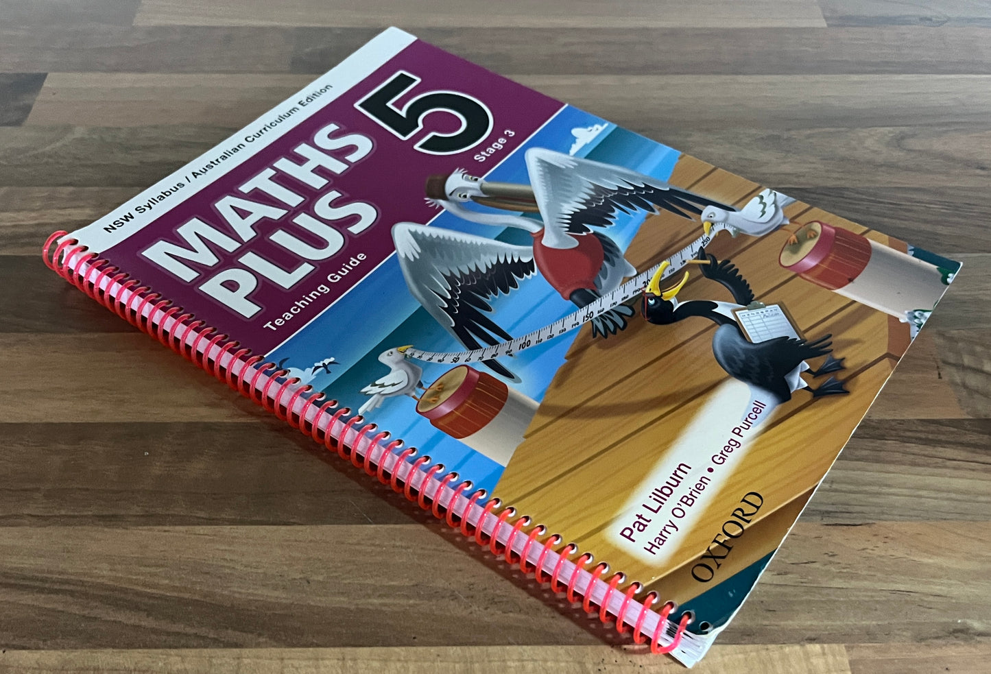 Maths Plus 5 Teaching Guide: NSW Syllabus Stage 3 Australian Curriculum Edition, 2013