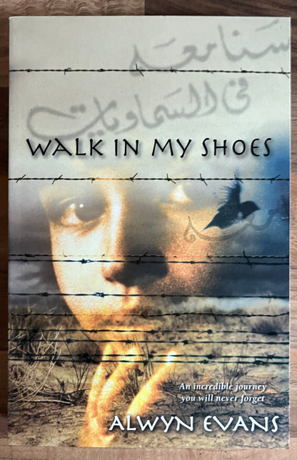 Walk in My Shoes by Alwyn Evans