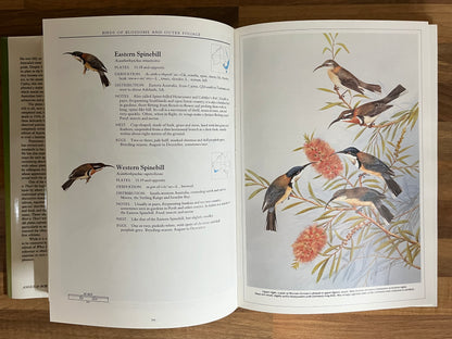Neville W Cayley's What Bird is That? 1984 Signature Edition Large Hardcover DJ