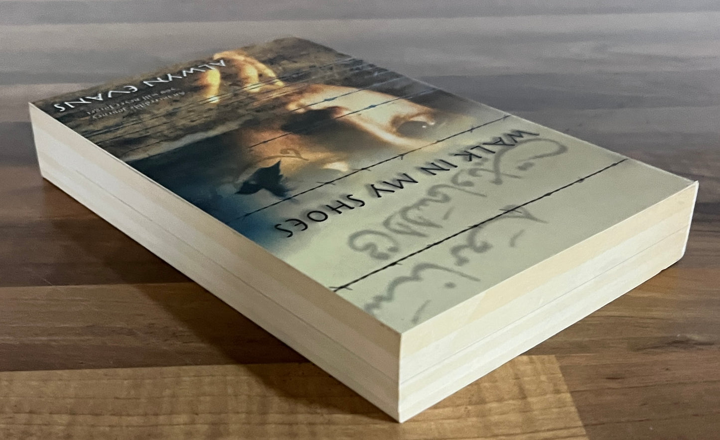 Walk in My Shoes by Alwyn Evans