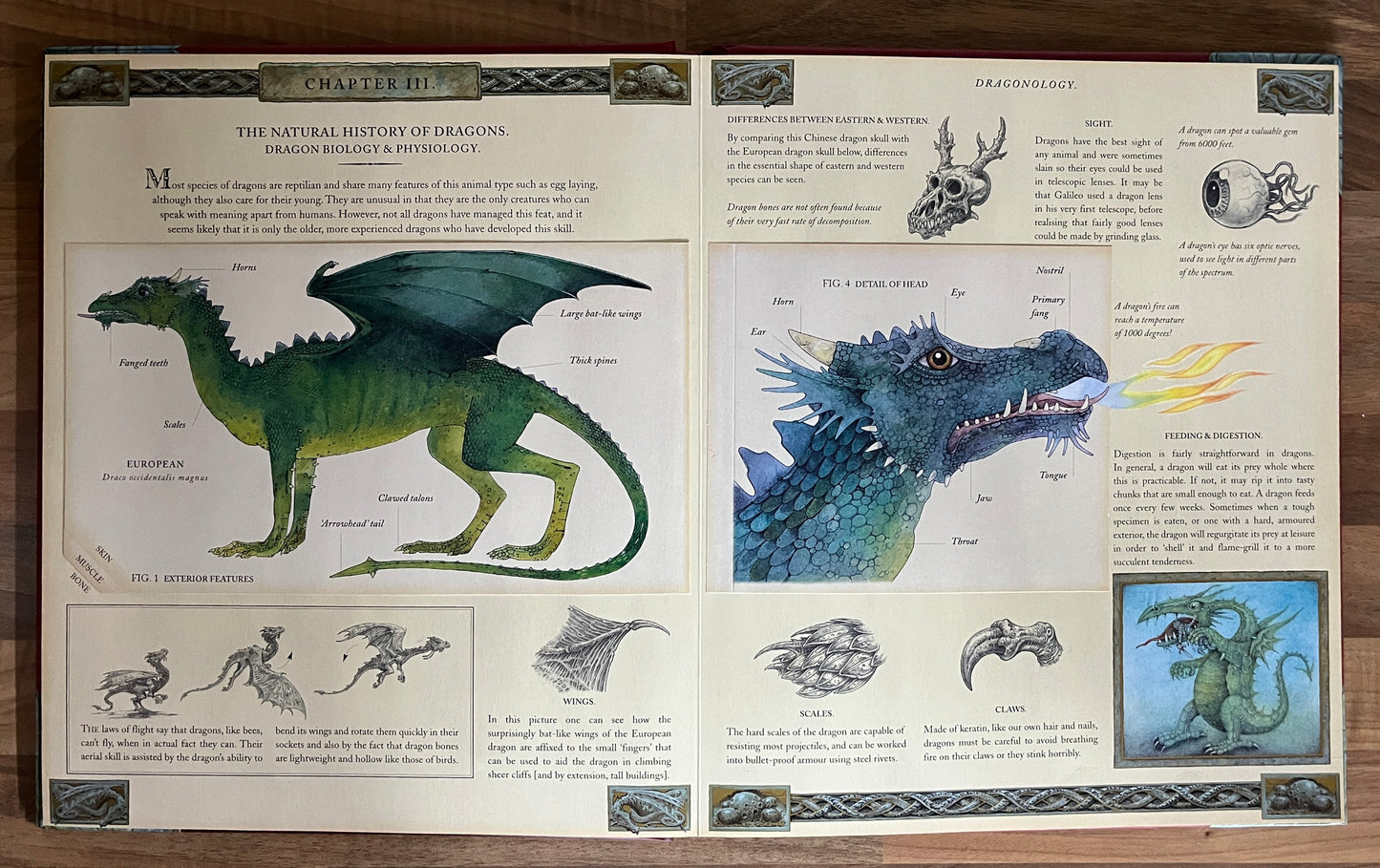 Dr Ernest Drakes Dragonology: The Complete Book of Dragons Hardcover + inserts