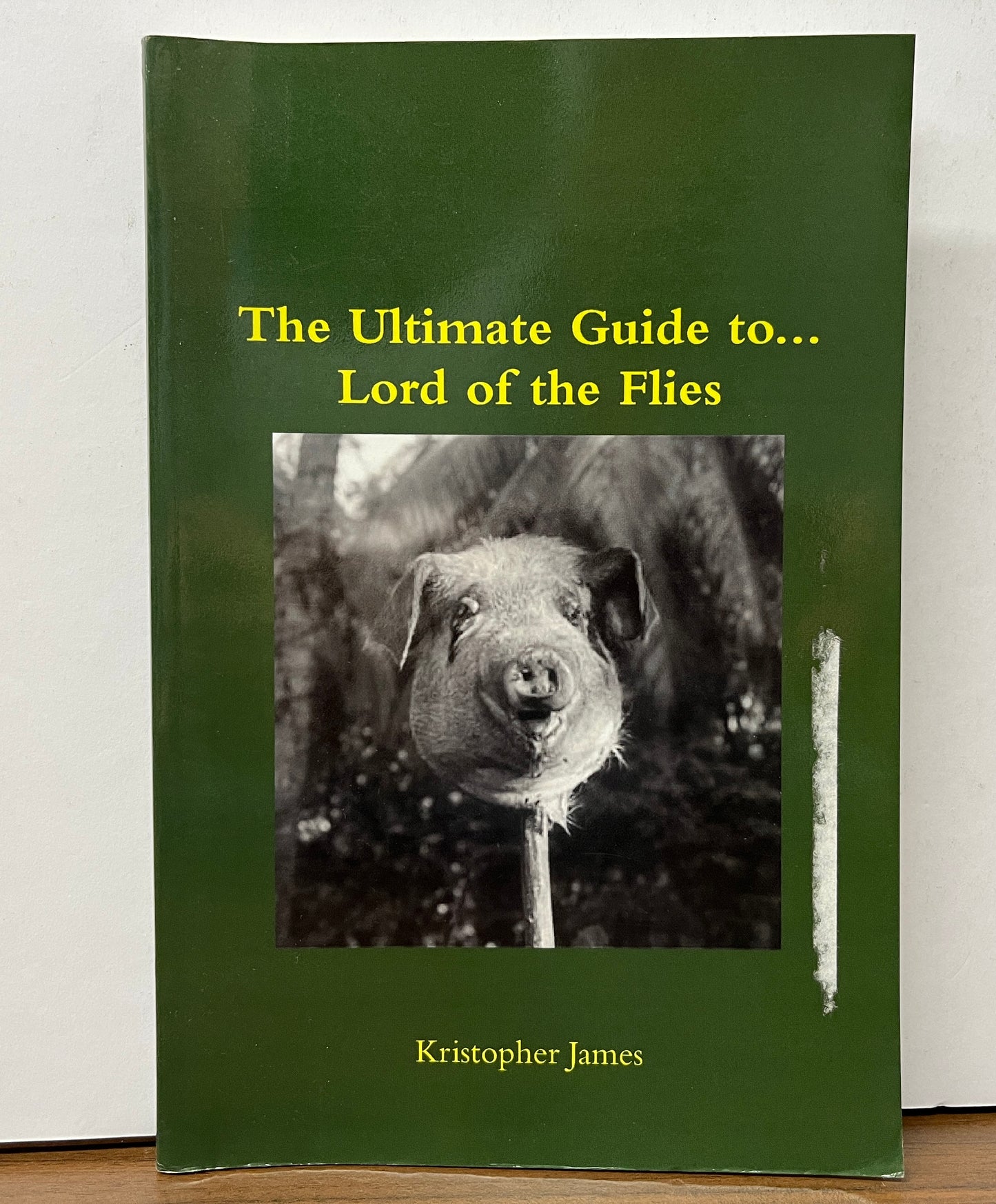 The Ultimate Guide to Lord of the Flies by Kristopher James