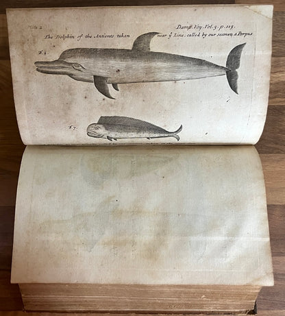 THE COLLECTED EDITION OF DAMPIER'S VOYAGES Volumes 1-4, 1729