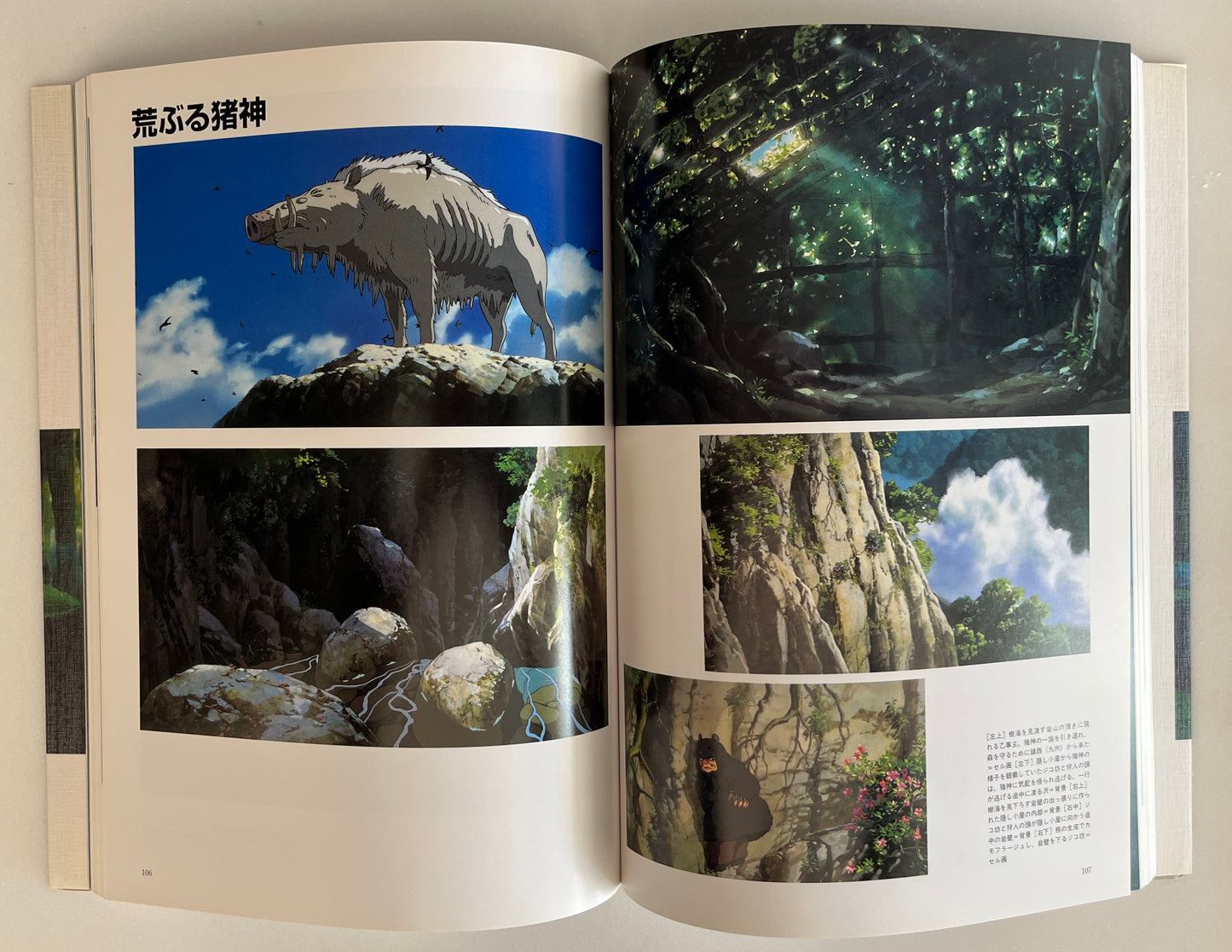 The Art of the Princess Mononoke Hayao Miyazaki Art Book Studio Ghibli Japan