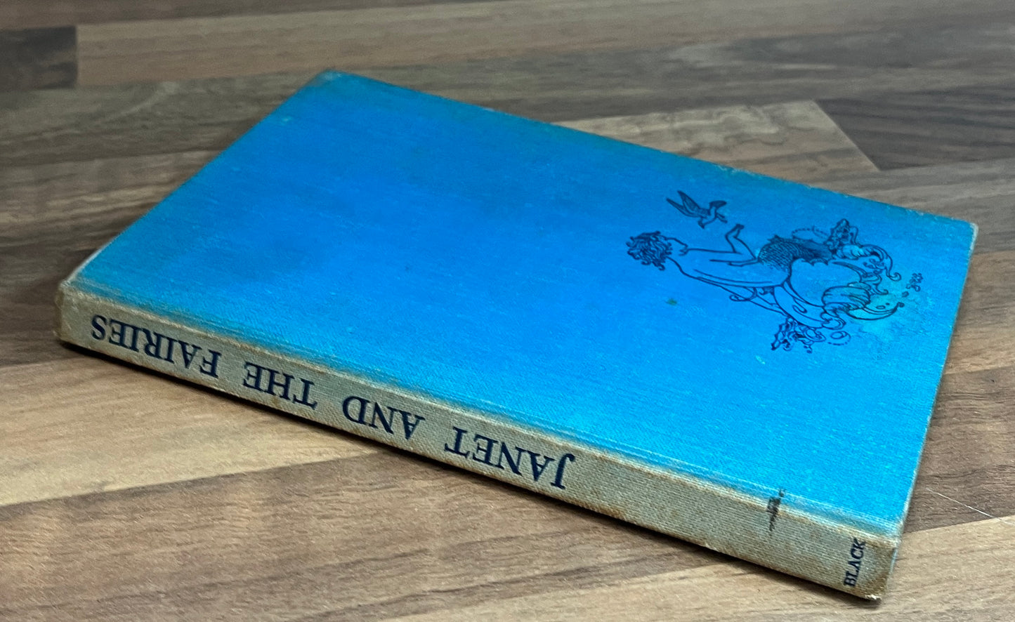 Janet and the Fairies by Bertha M. Danks, Illus. Ida Rentould Outhwaite HC, 1937 *SCARCE*