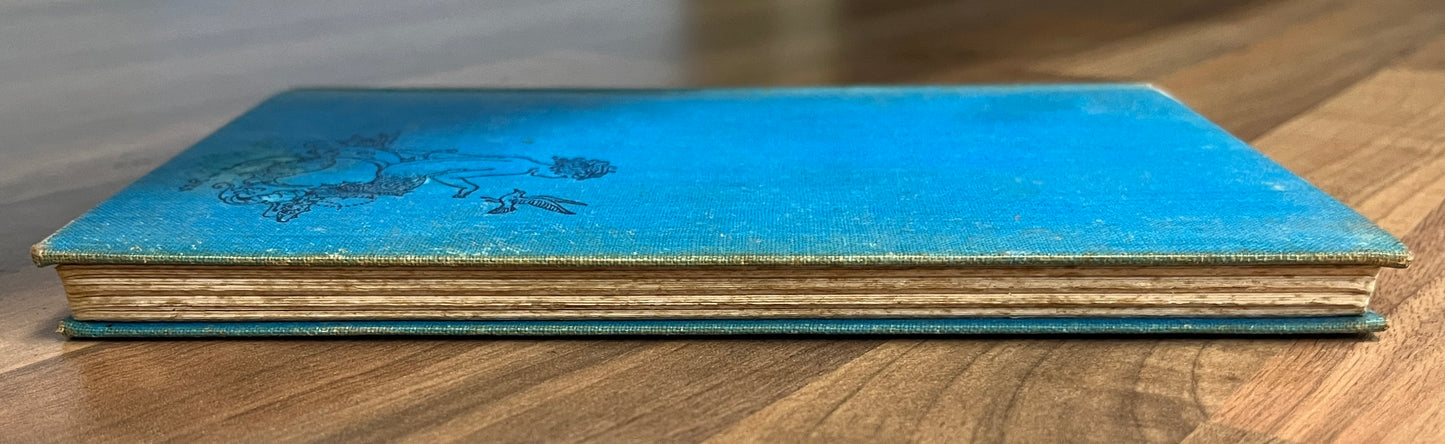 Janet and the Fairies by Bertha M. Danks, Illus. Ida Rentould Outhwaite HC, 1937 *SCARCE*