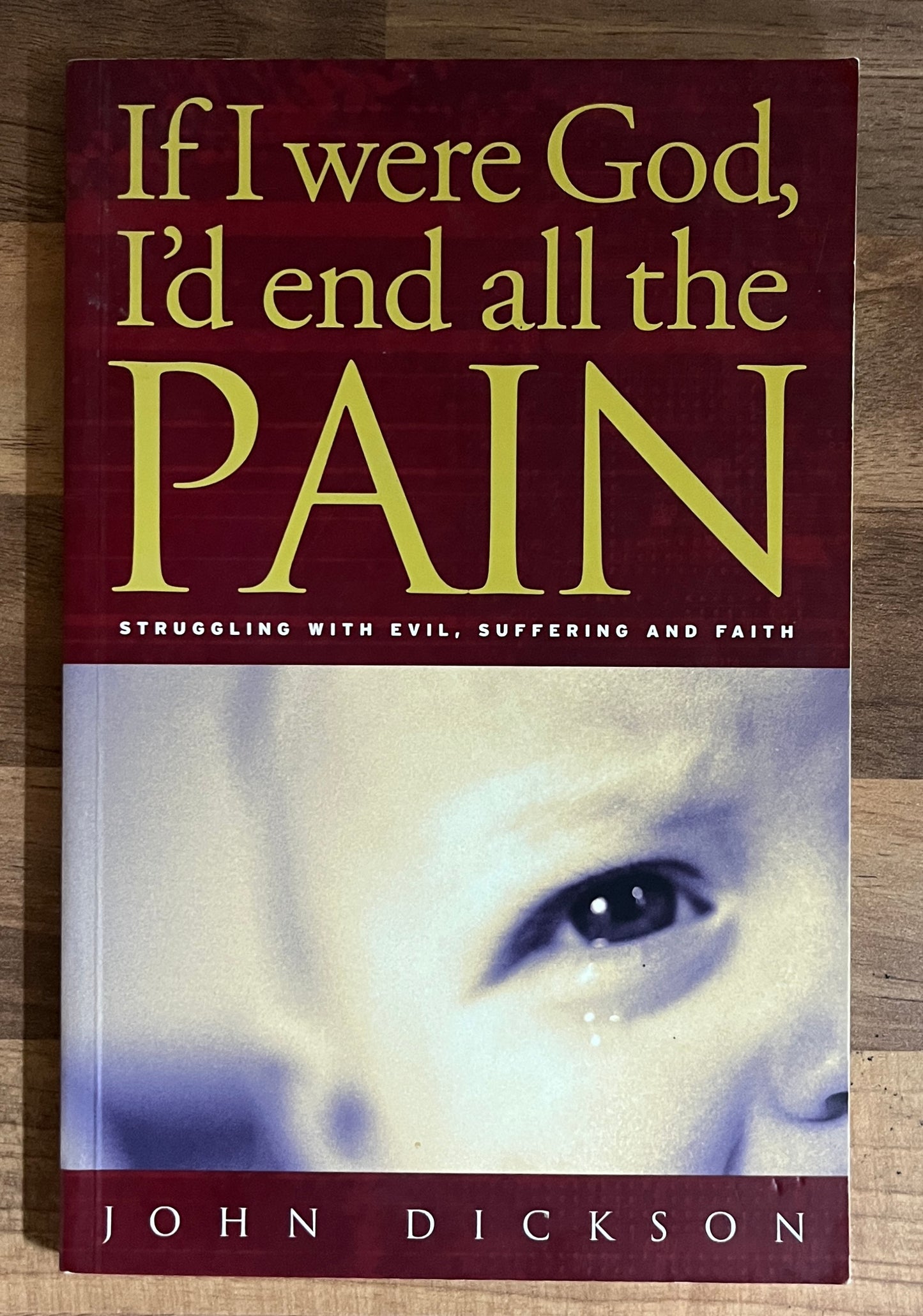 If I Were God, I'd End All the Pain by John Dickson