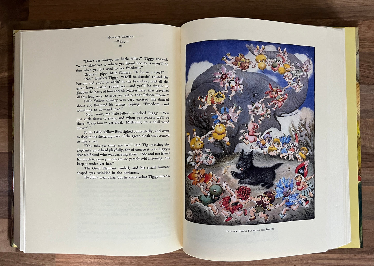 May Gibbs Collection: Gumnut Classics & Mother of the Gumnuts Box Set