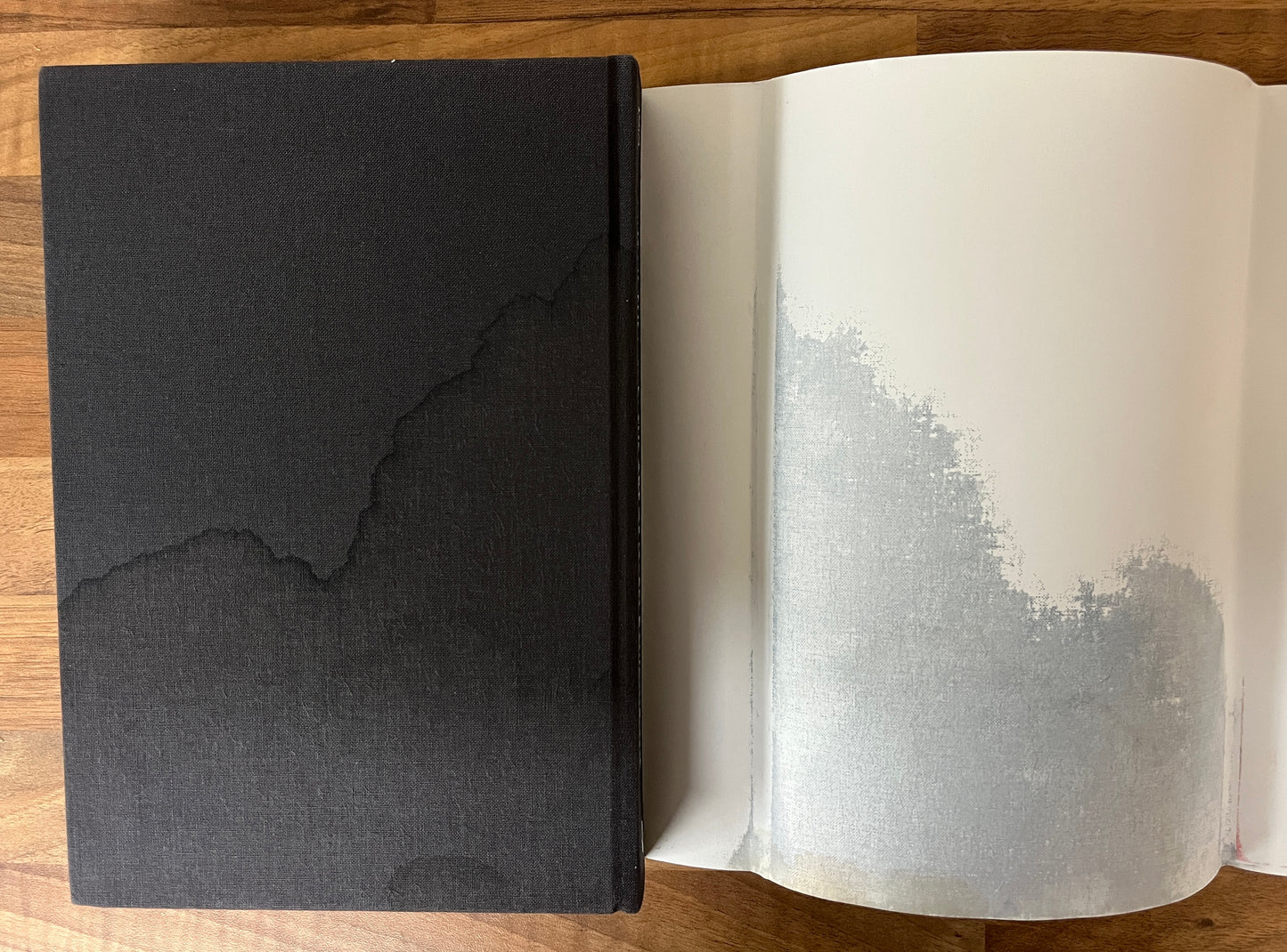 Out of the Cage: The Art of Isabel Rawsthorne by Carol Jacobi HC/DJ