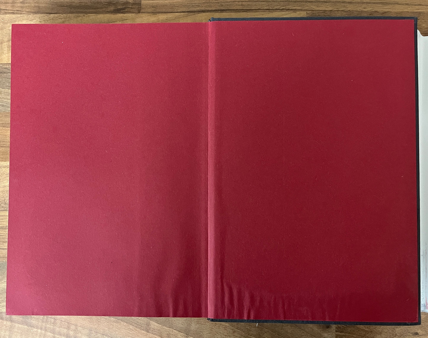 Out of the Cage: The Art of Isabel Rawsthorne by Carol Jacobi HC/DJ