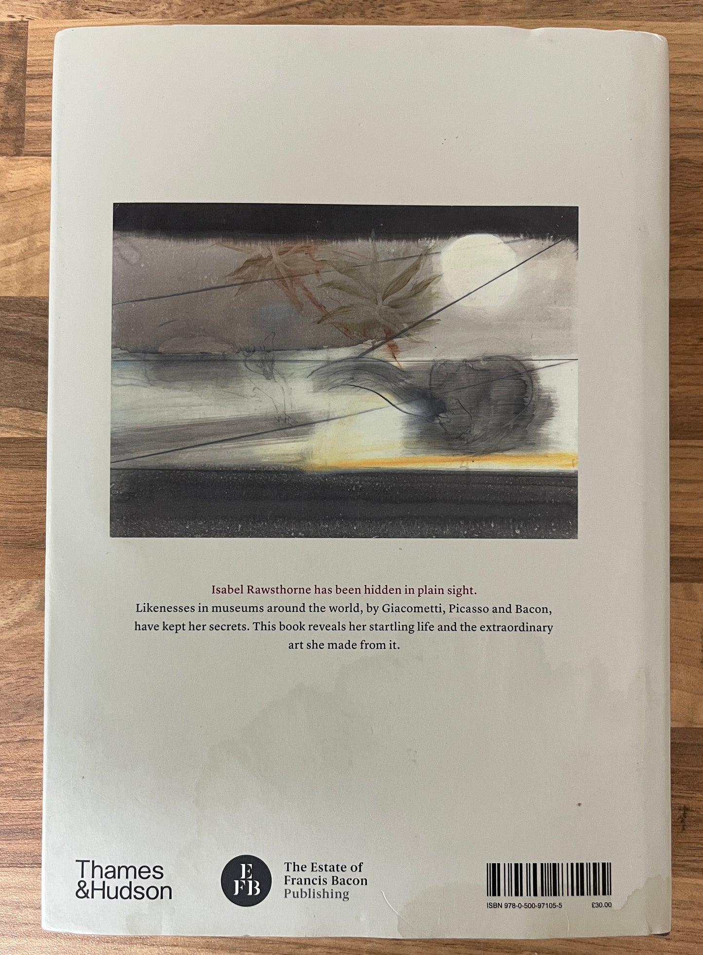 Out of the Cage: The Art of Isabel Rawsthorne by Carol Jacobi HC/DJ