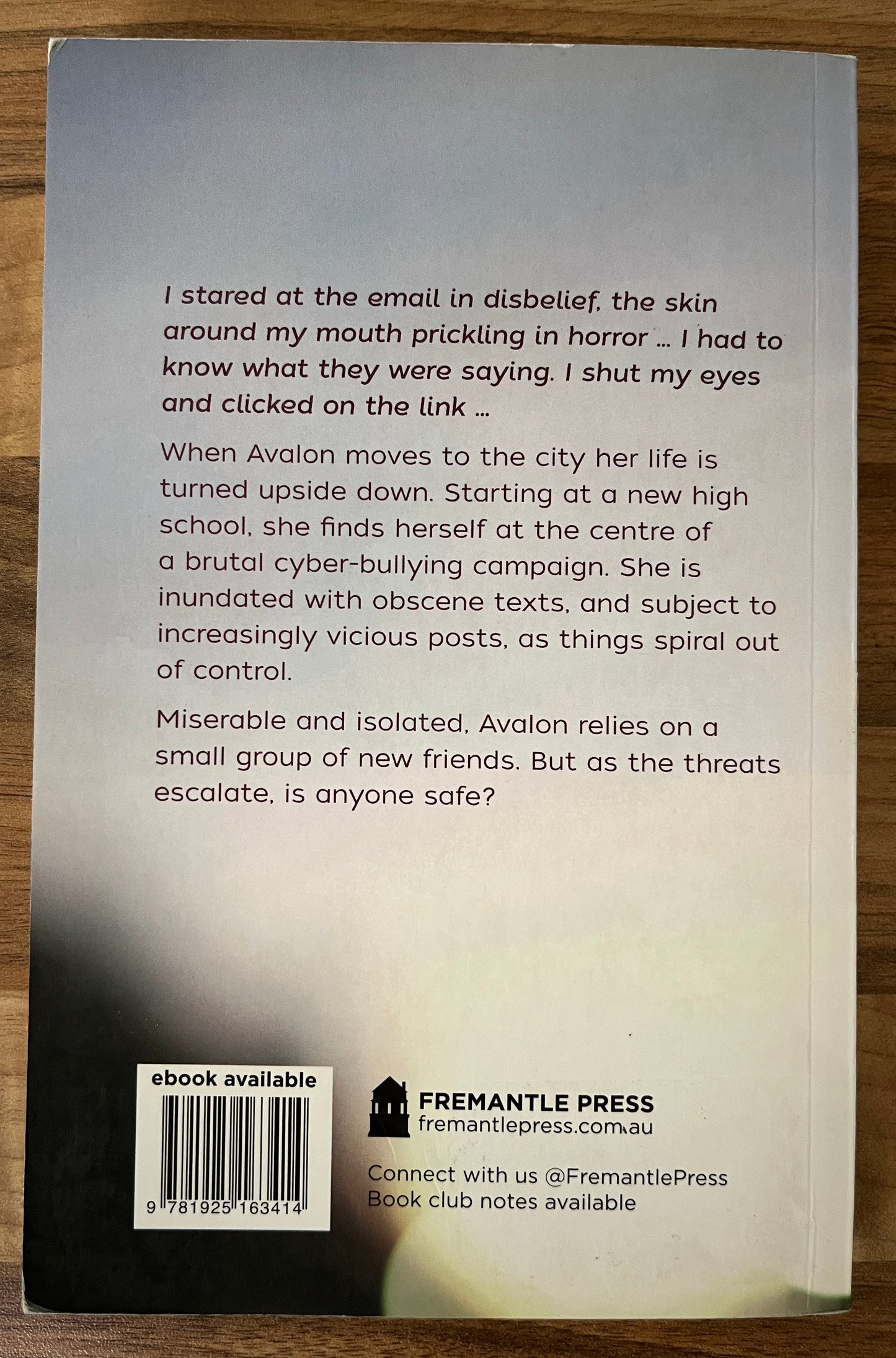 Destroying Avalon by Kate McCaffrey (Paperback, 2015)