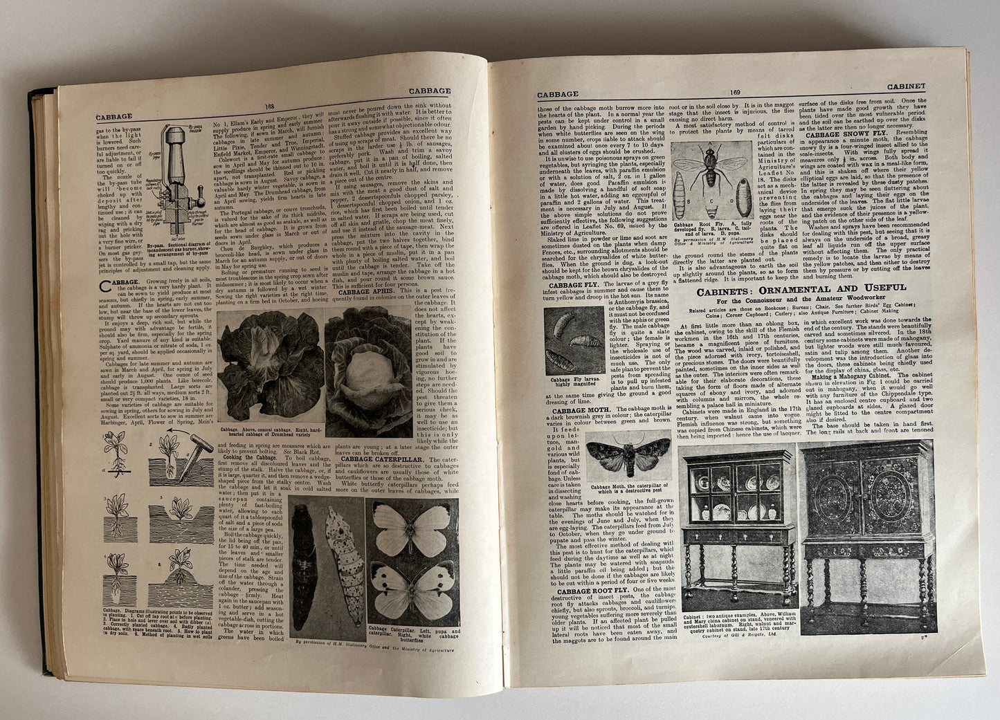 The Concise Household Encyclopedia 2 Volume Hardcovers