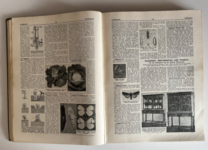 The Concise Household Encyclopedia 2 Volume Hardcovers