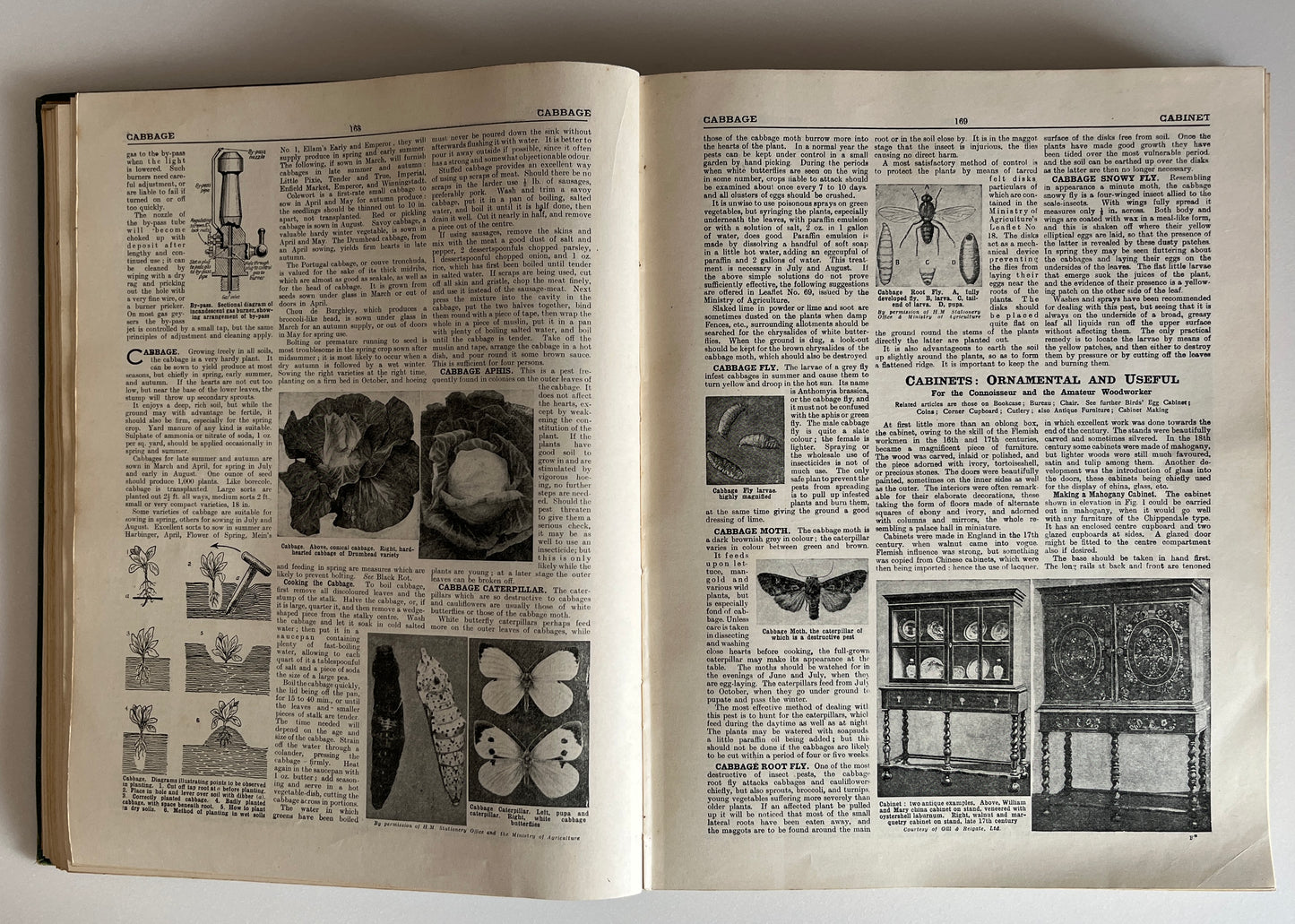 The Concise Household Encyclopedia 2 Volume Hardcovers