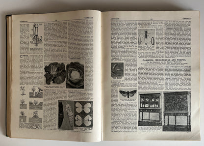 The Concise Household Encyclopedia 2 Volume Hardcovers