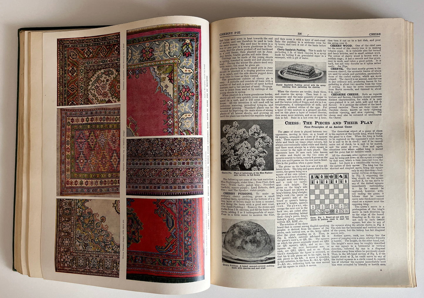 The Concise Household Encyclopedia 2 Volume Hardcovers