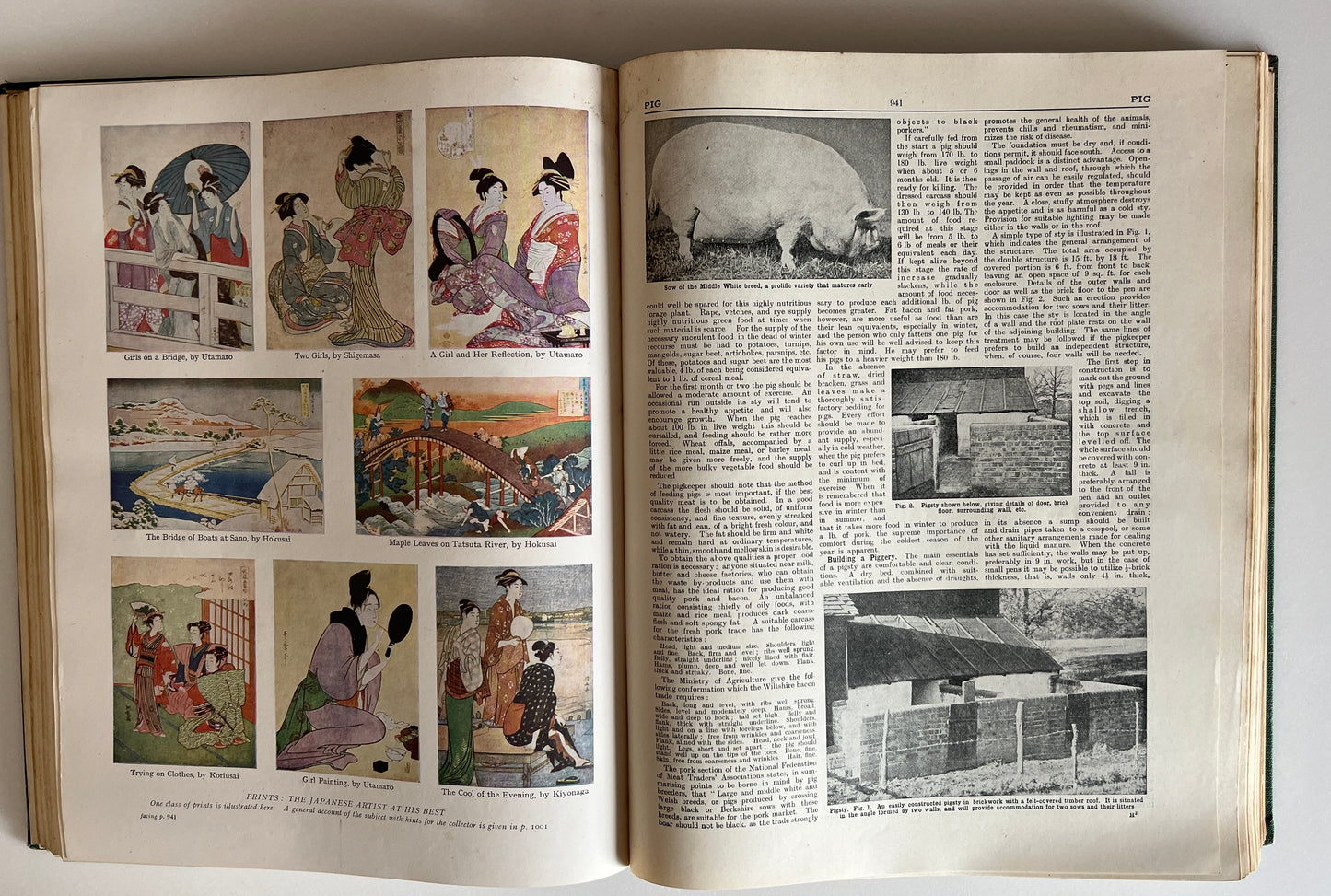 The Concise Household Encyclopedia 2 Volume Hardcovers