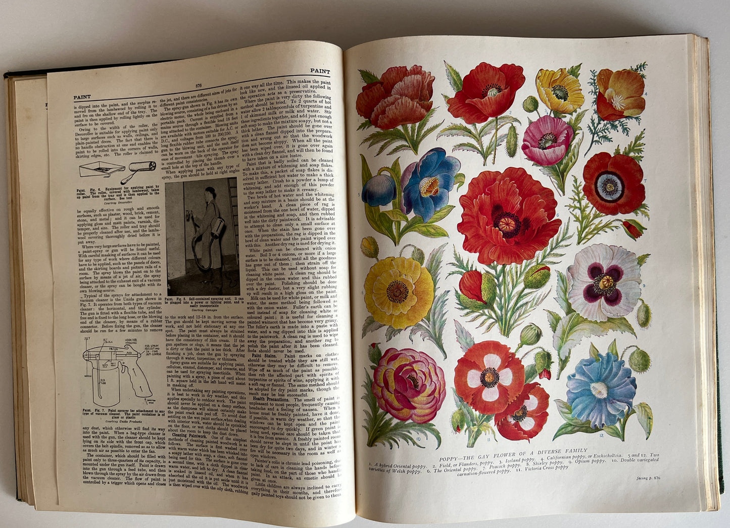 The Concise Household Encyclopedia 2 Volume Hardcovers