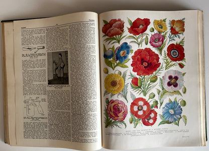 The Concise Household Encyclopedia 2 Volume Hardcovers