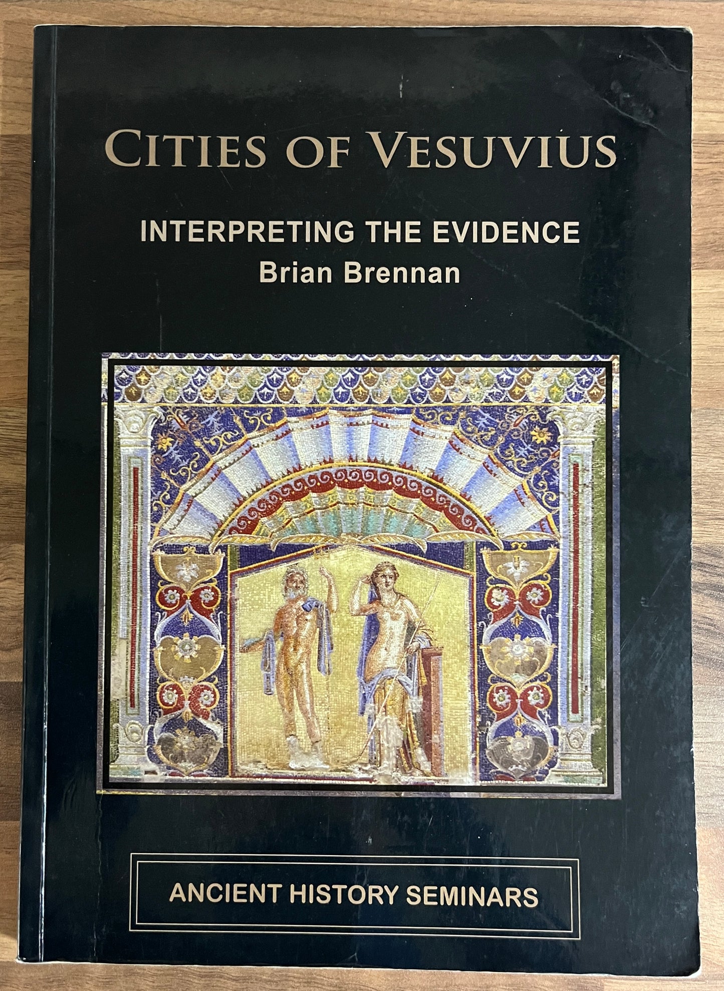 Cities of Vesuvius: Interpreting the Evidence (Ancient History Seminars)