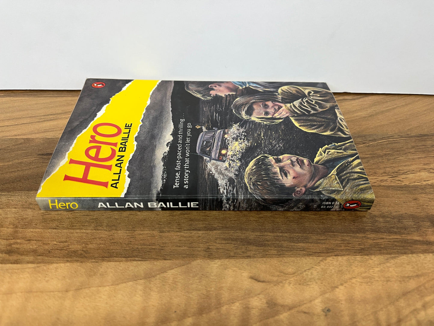 Hero by Allan Baillie (Puffin Books) Ex Libris
