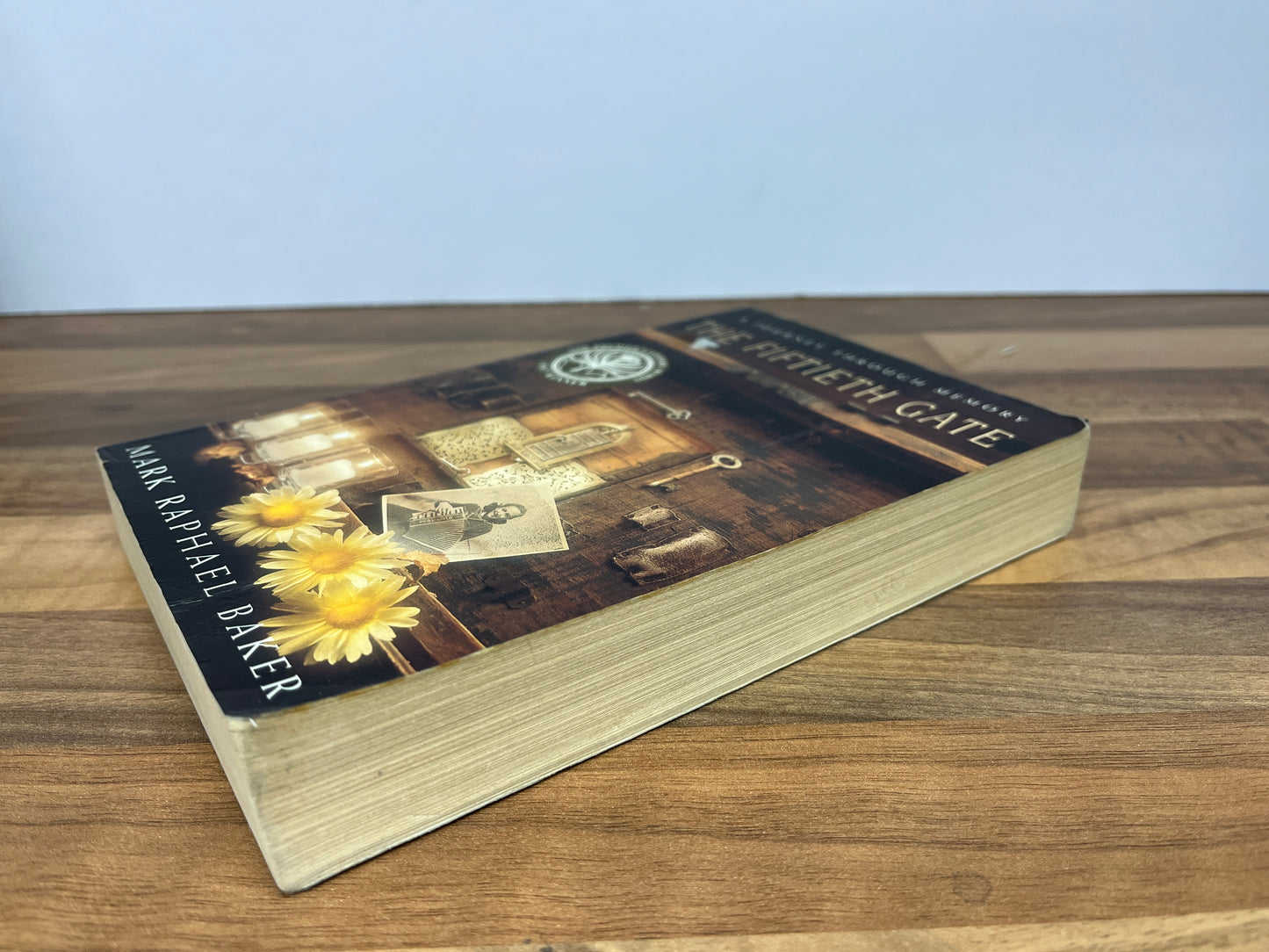 The Fiftieth Gate by  Mark Raphael Baker